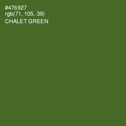 #476927 - Chalet Green Color Image